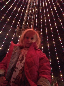 2012-12-21 04 Trail of Lights.jpg